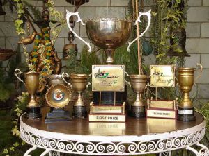 Always first prize winning garden's cups & certificates, won over the years. Awardee of Lai Chand Stokes Running Trophy, we have donated Sardar Santokh Singh Running Cup for the best succulent.