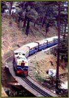Shimla Kalka Train