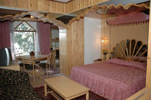 Presidential Room at Hotel Brightland Shimla